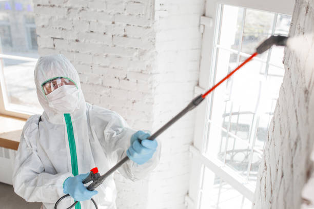 Best Forensic Mold Investigation  in La Homa, TX